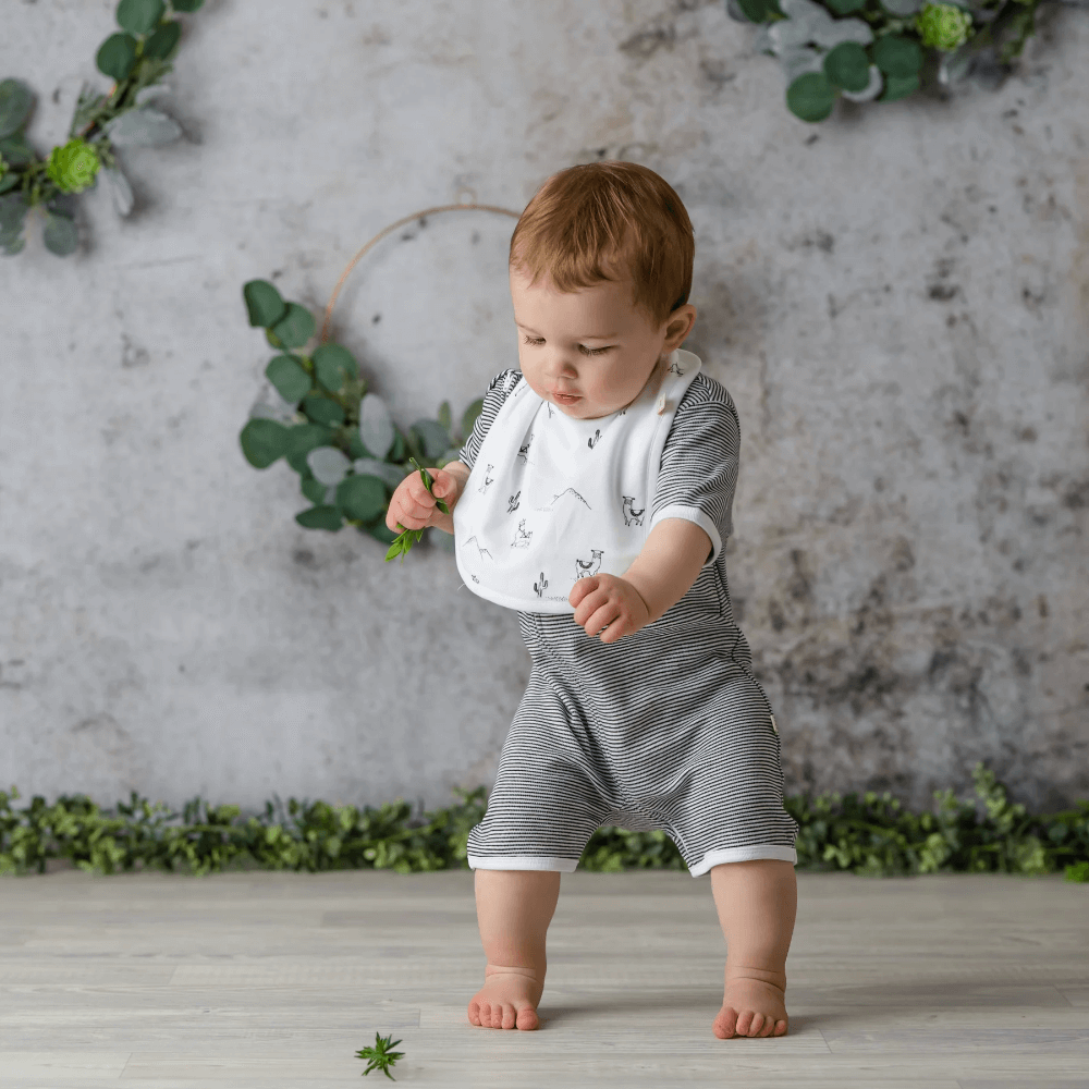 Tiny Twig Zipsuit S/S Graphite Stripes